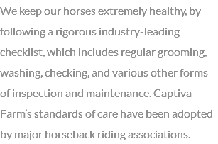 We keep our horses extremely healthy, by following a rigorous industry-leading checklist, which includes regular grooming, washing, checking, and various other forms of inspection and maintenance. Captiva Farm’s standards of care have been adopted by major horseback riding associations.