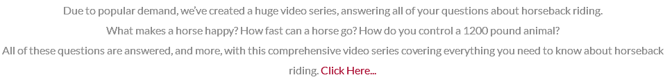 Due to popular demand, we’ve created a huge video series, answering all of your questions about horseback riding. What makes a horse happy? How fast can a horse go? How do you control a 1200 pound animal? All of these questions are answered, and more, with this comprehensive video series covering everything you need to know about horseback riding. Click Here...